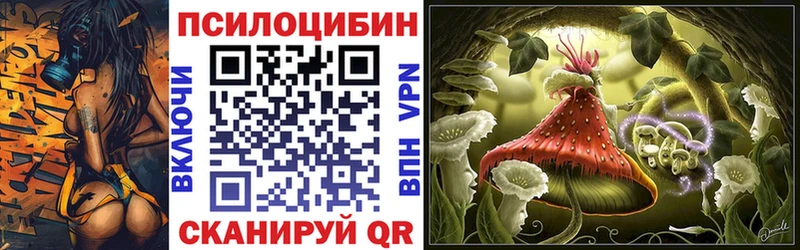 закладка  Севск  mega зеркало  Псилоцибиновые грибы ЛСД 